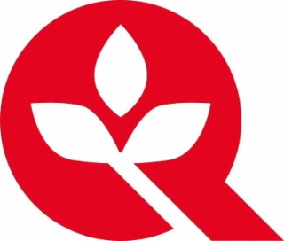 Q logo