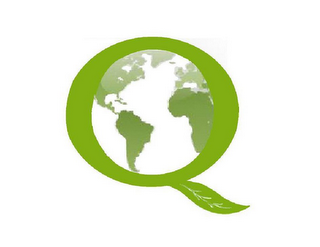 Q logo