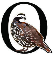 Q logo