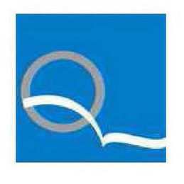 Q logo