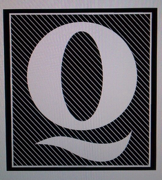 Q logo
