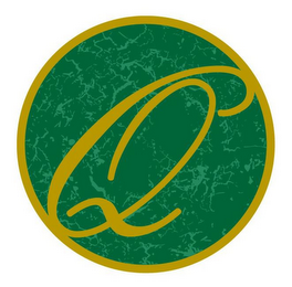 Q logo