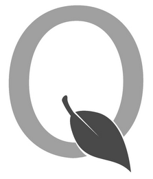 Q logo