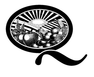 Q logo