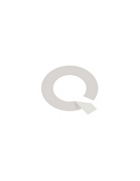 Q logo