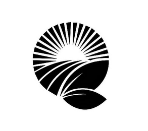 Q logo