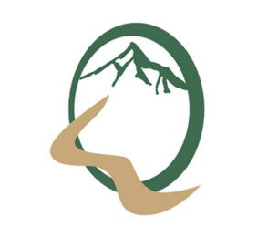 Q logo