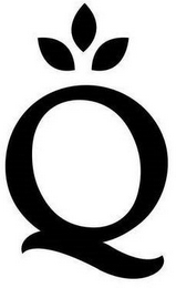 Q logo