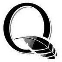Q logo