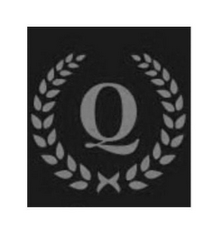 Q logo