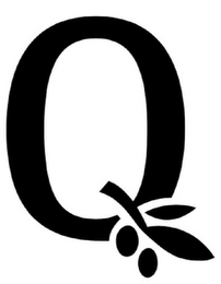 Q logo