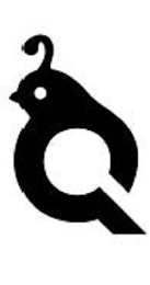 Q logo