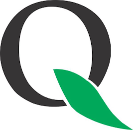 Q logo