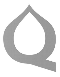 Q logo