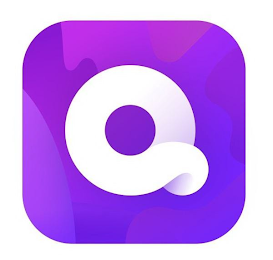 Q logo