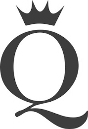 Q logo
