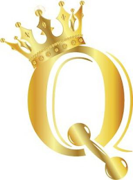Q logo