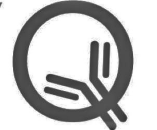 Q logo