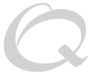 Q logo