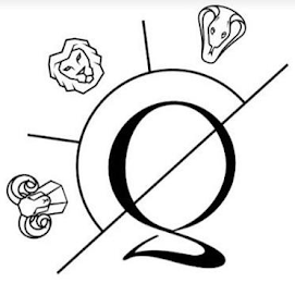 Q logo
