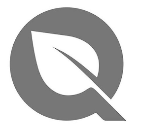 Q logo