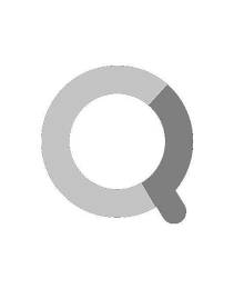 Q logo