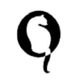 Q logo
