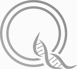 Q logo
