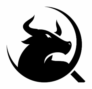 Q logo