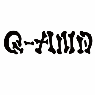 Q-AND logo