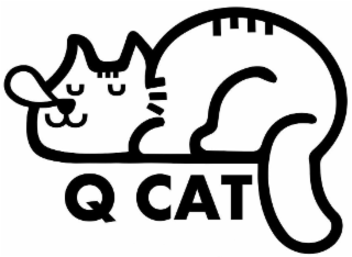 Q CAT logo
