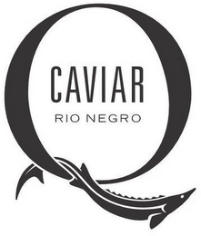 Q CAVIAR RIO NEGRO logo