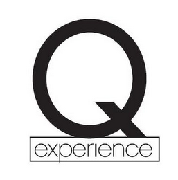 Q EXPERIENCE logo