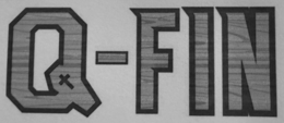 Q-FIN logo
