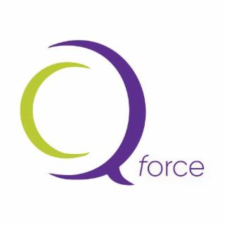 Q FORCE logo
