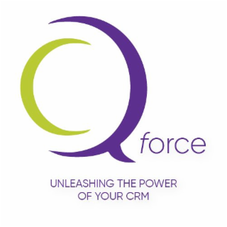 Q FORCE UNLEASHING THE POWER OF YOUR CRM logo