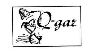 Q-GAR logo