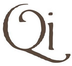 Q I logo