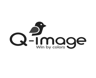 Q-IMAGE WIN BY COLORS logo