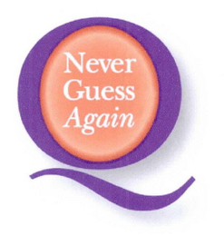 Q NEVER GUESS AGAIN logo