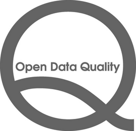 Q OPEN DATA QUALITY logo