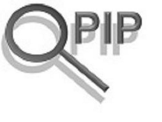 Q PIP logo