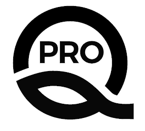 Q PRO logo