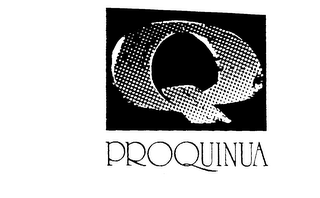 Q PROQUINUA logo