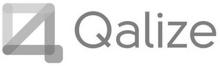 Q QALIZE logo