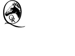 Q QR logo