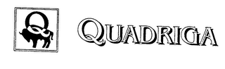 Q QUADRIGA logo