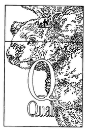 Q QUALA logo