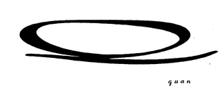 Q QUAN logo
