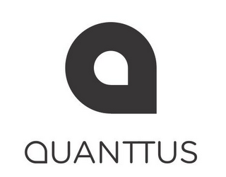 Q QUANTTUS logo